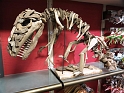 Kids-NYC_AMNH_3-2014 (150)